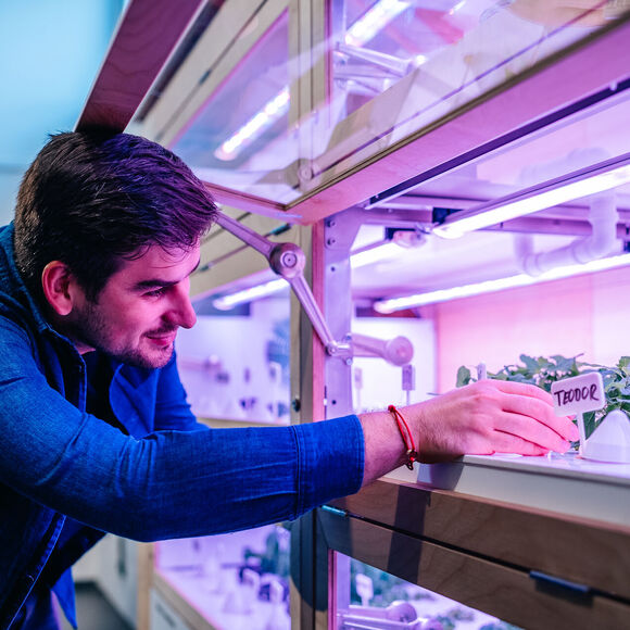 Hydroponické pěstování rostlin v NZM