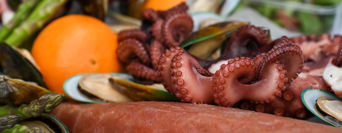Chobotnice 