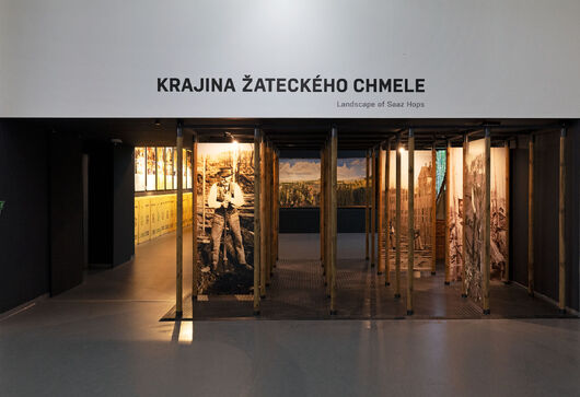 Komentované prohlídky expozice Žatec a krajina žateckého chmele