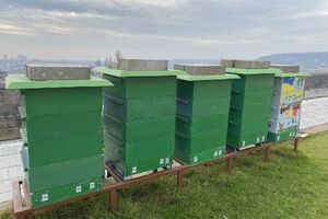 O včely na střešní terase NZM Praha se starají včelaři z projektu Včely na střechách.
