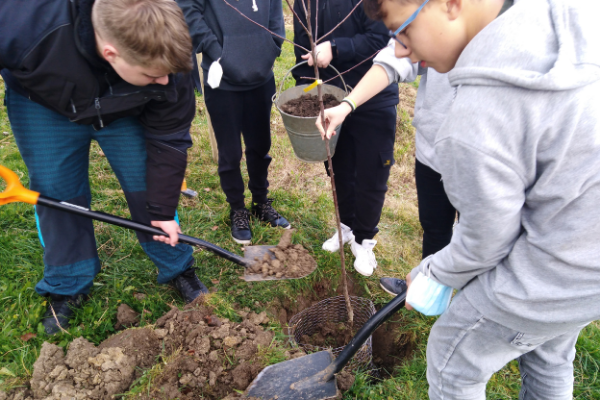 Zachraňme ovocné stromy i naši krajinu