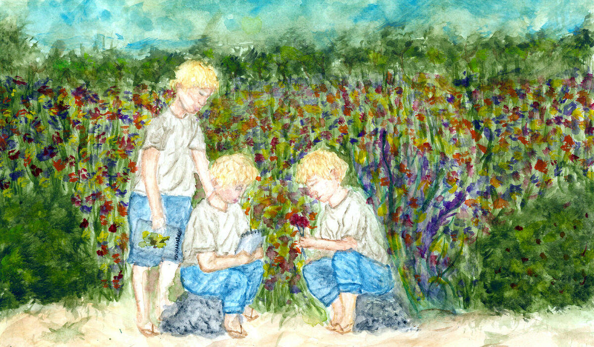 Bratři Bauerové a Valtice