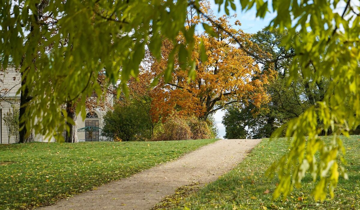 Stezka kačinským parkem