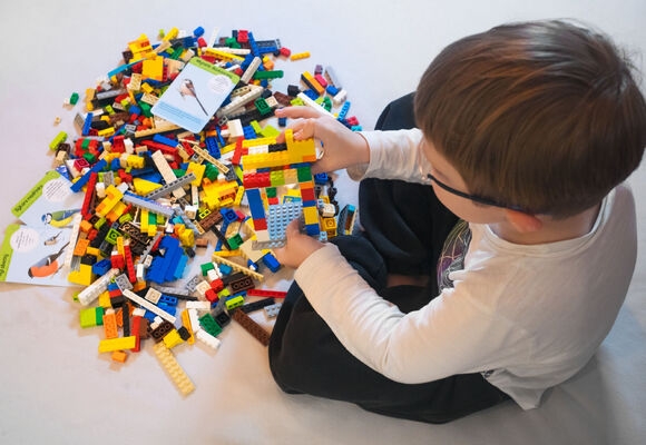 Ptáci v nesnázích / Dílna s kostičkami LEGO