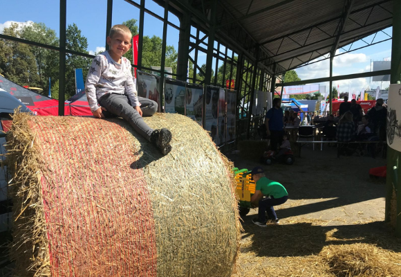 NZM Kačina