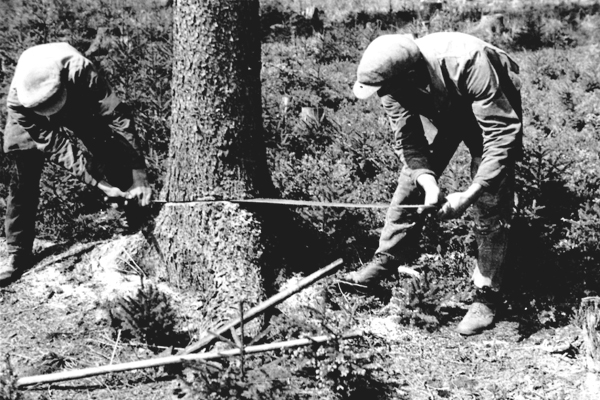 Letošní výstavy na Ohradě: Lidé v lese, losi i poklady z půdy