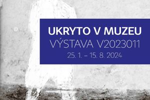 Výstava Ukryto v muzeu – výstava V2023011