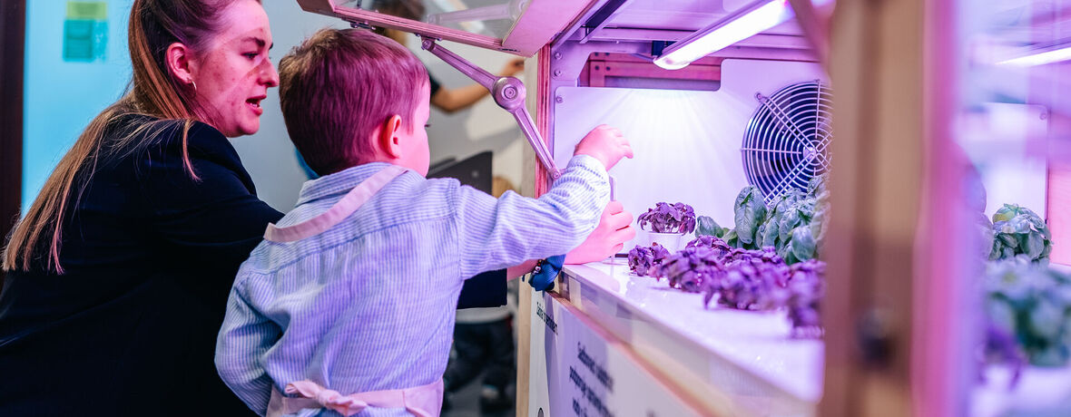 Hydroponické pěstování / ZDARMA 