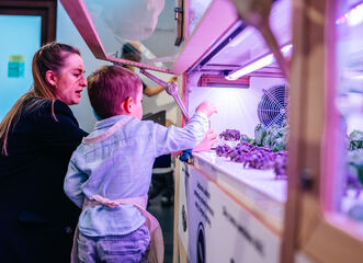 Hydroponické pěstování / ZDARMA