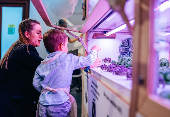 Hydroponické pěstování / ZDARMA