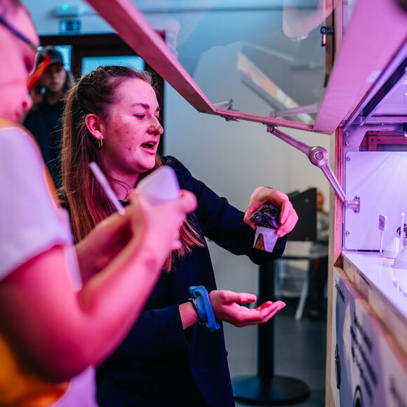 Hydroponické pěstování rostlin v NZM