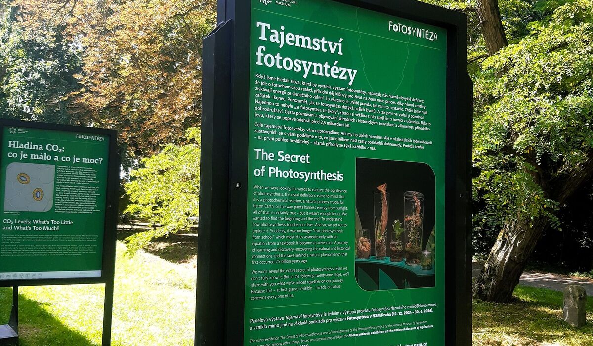 Výstava Tajemství fotosyntézy