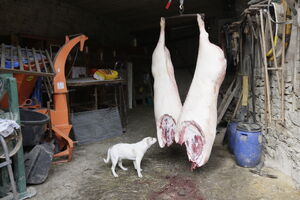 Fotografie Jindřich Štreit – Sbírka NZM