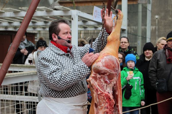 Letenské prase aneb Zabijačka v muzeu
