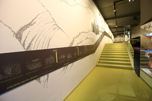 Expozice Zemědělství NZM Praha