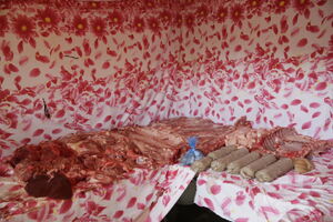 Fotografie Jindřich Štreit – Sbírka NZM