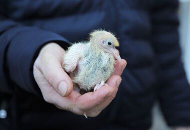 Zvířátka jako v bavlnce 2. 10. 2025