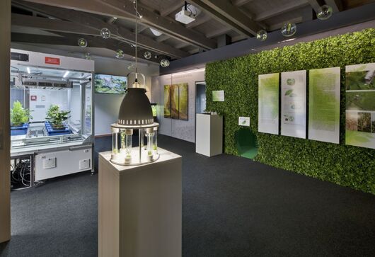 Zázrak jménem fotosyntéza, výstava v NZM Valtice / 4. 4. – 31. 10. 2024