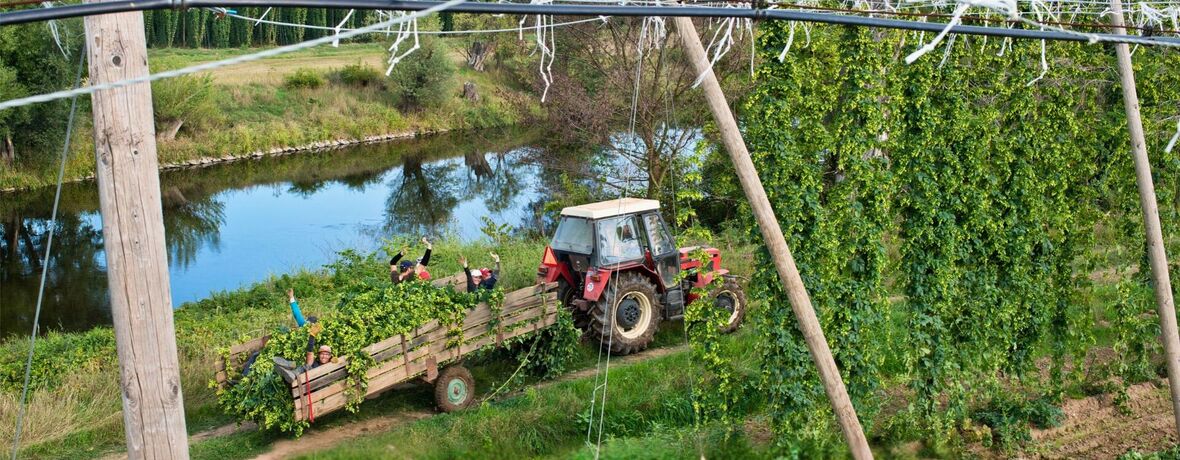 CHMEL O PÁTÉ / speciální host: Dlouhá byla cesta