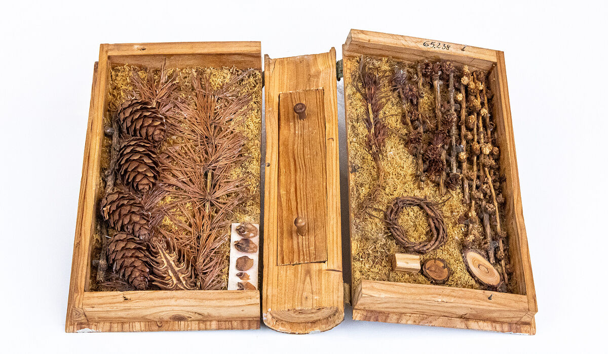 Výstava Zahrady v knihách svázané