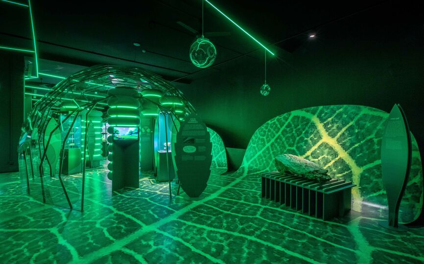 FOTOSYNTÉZA. Národní zemědělské muzeum v Praze zve na unikátní výstavu