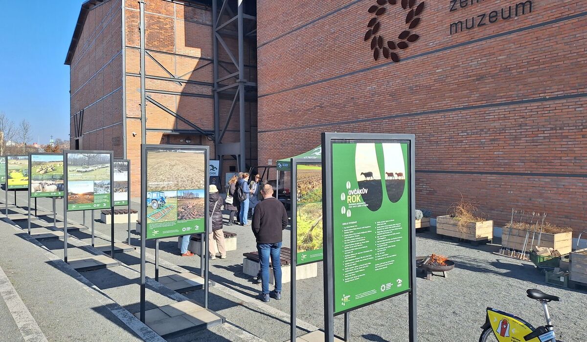 Ovčákův rok – Současné pastevectví, chov ovcí a péče o krajinu