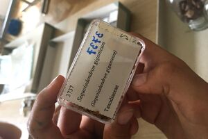 Příměstský tábor v NZM Praha Jak to u nás vypadalo?