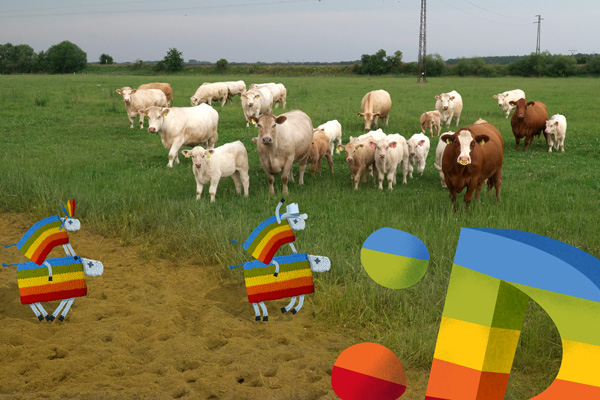 Ovečky byly spatřeny na Letné a na Kačině!