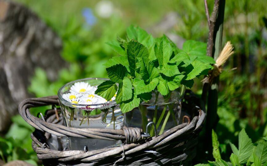 BYLINKOVÝ DEN v NZM Praha v sobotu 18. dubna