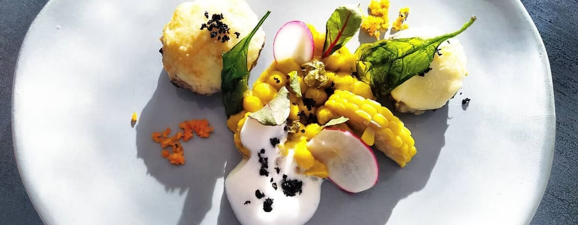 VEGE & VEGAN 