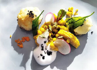 VEGE & VEGAN 