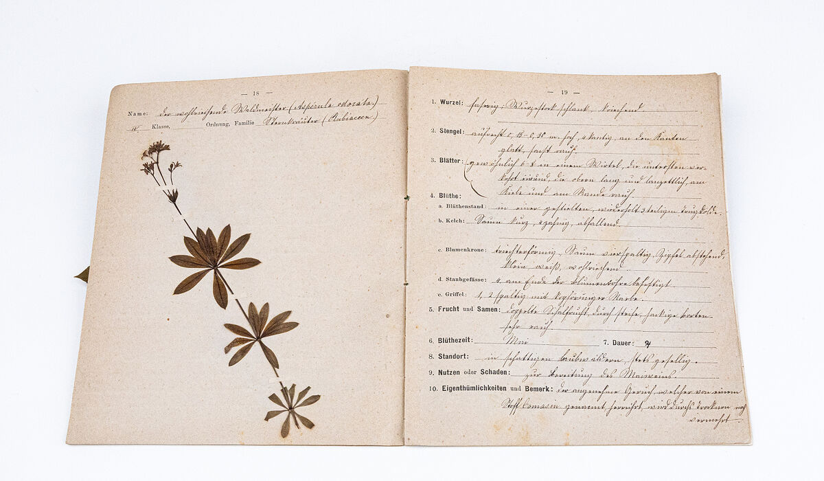 Výstava Zahrady v knihách svázané