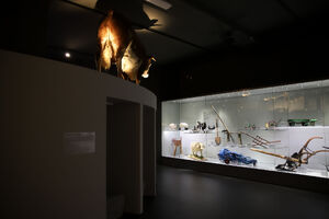 Expozice Zemědělství NZM Praha