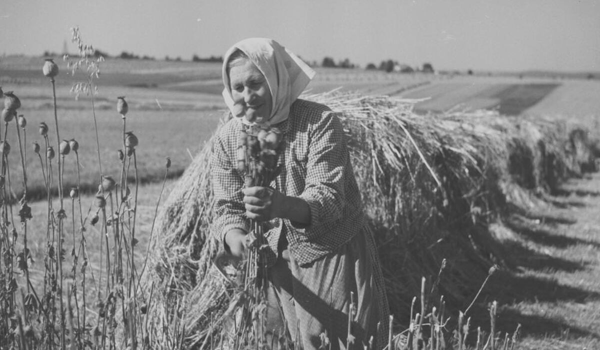Retroexpozice: Z polí do vitrín