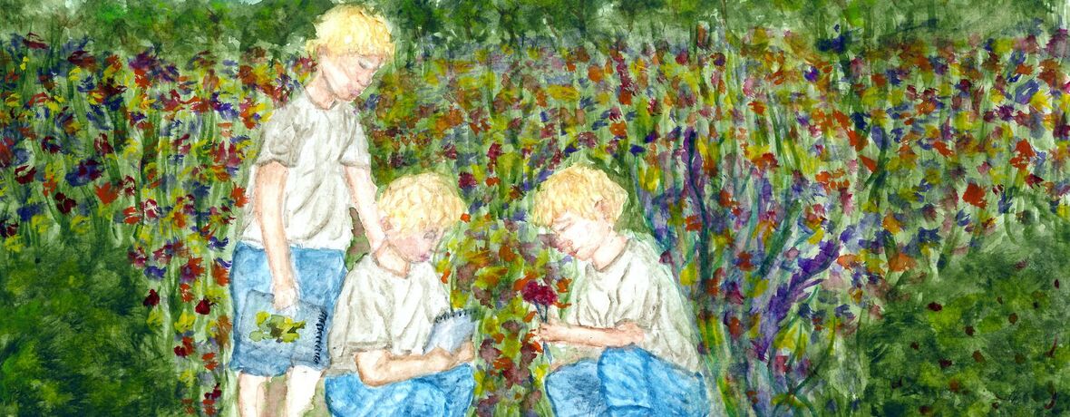 Světoví mistři botanické kresby, otevřené depozitáře, sezónní výstavy letniček i zeleniny. NZM Valtice zahajuje sezónu. TISKOVÁ ZPRÁVA