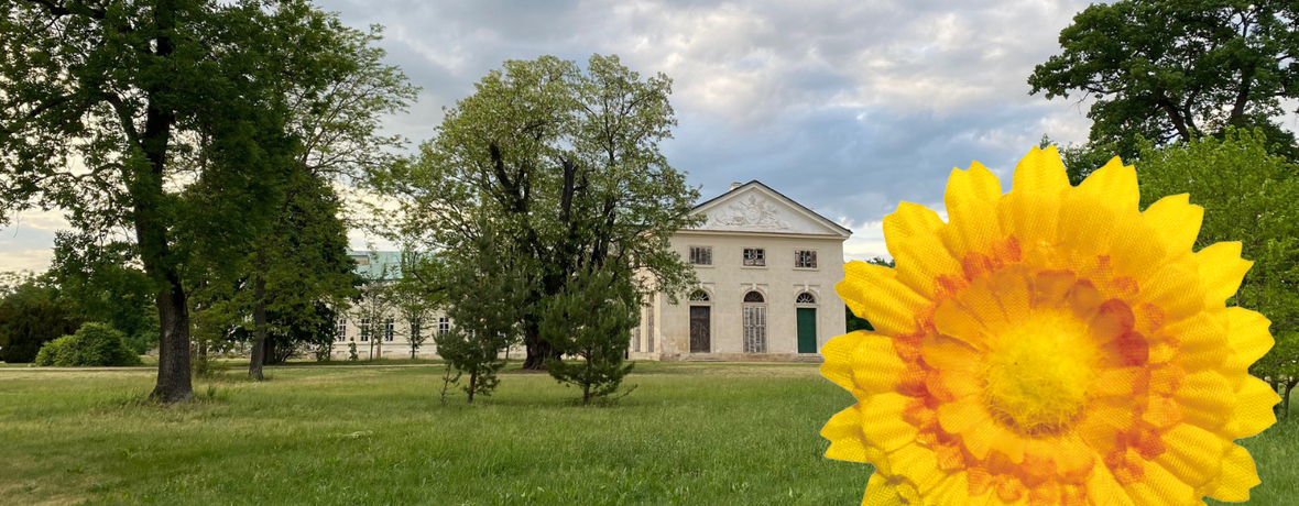 Český den proti rakovině 2025