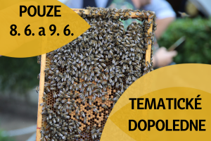 Pokusní králíci dělají vědu