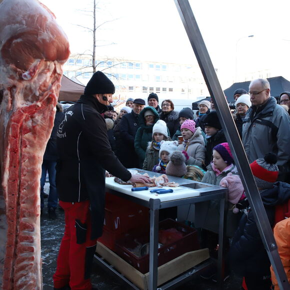 Akce Letenské prase v NZM Praha 