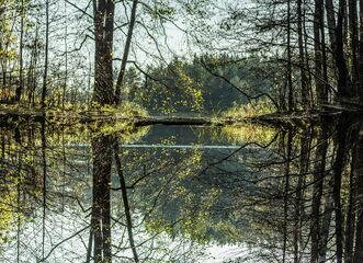 Výstava Malá galerie Ohrada: Krajiny lesů a rybníků