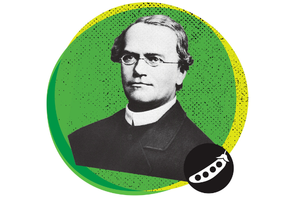 Připomeňte si Mendelův odkaz návštěvou akcí zemědělských institucí
