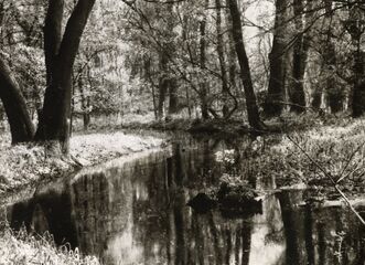 Výstava Židlochovice: Zelená perla