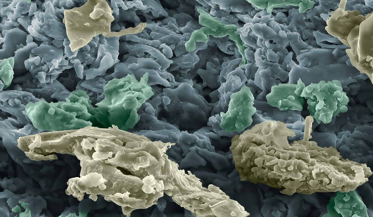 Výstava Potraviny, jak je neznáte