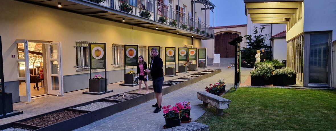 Prožijte atmosférický večer v muzeu. NZM Valtice chystají muzejní noc s přírodou Lednicko-valtického areálu. TISKOVÁ ZPRÁVA