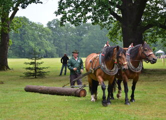 Ohradské národní myslivecké slavnosti