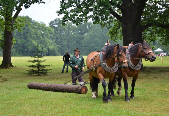 Ohradské národní myslivecké slavnosti