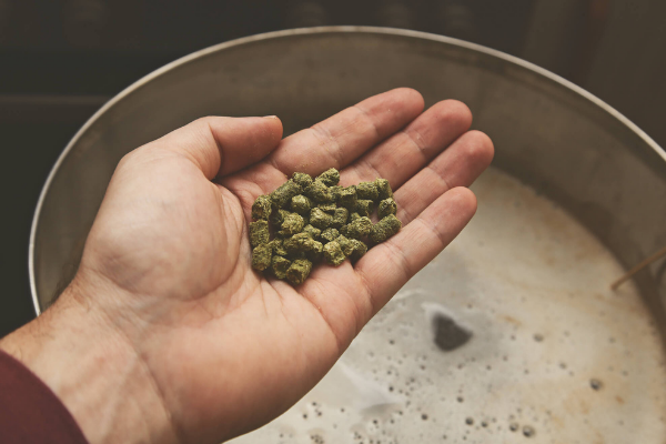 Naučte se vařit svoje vlastní pivo
