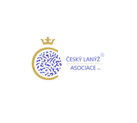 Český lanýž 200x180 lepší