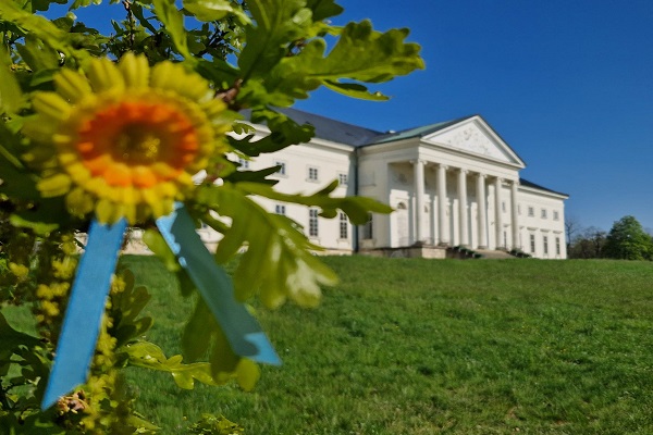 kytičky ze sbírky 2022