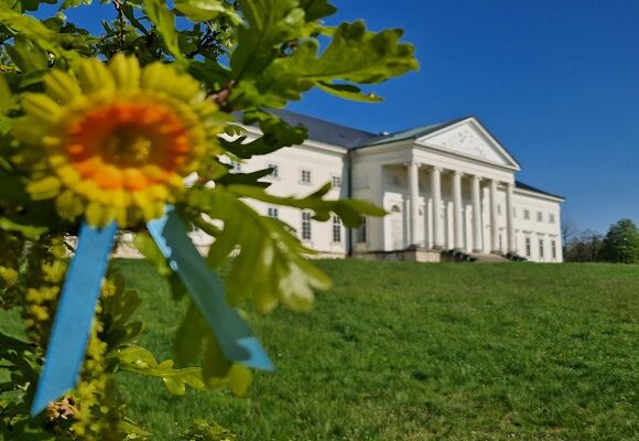 kytičky ze sbírky 2022