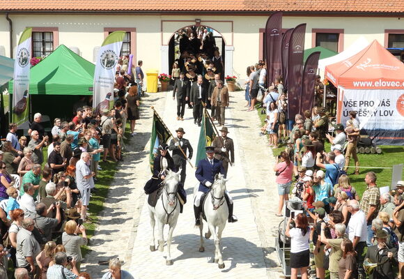 NZM Kačina